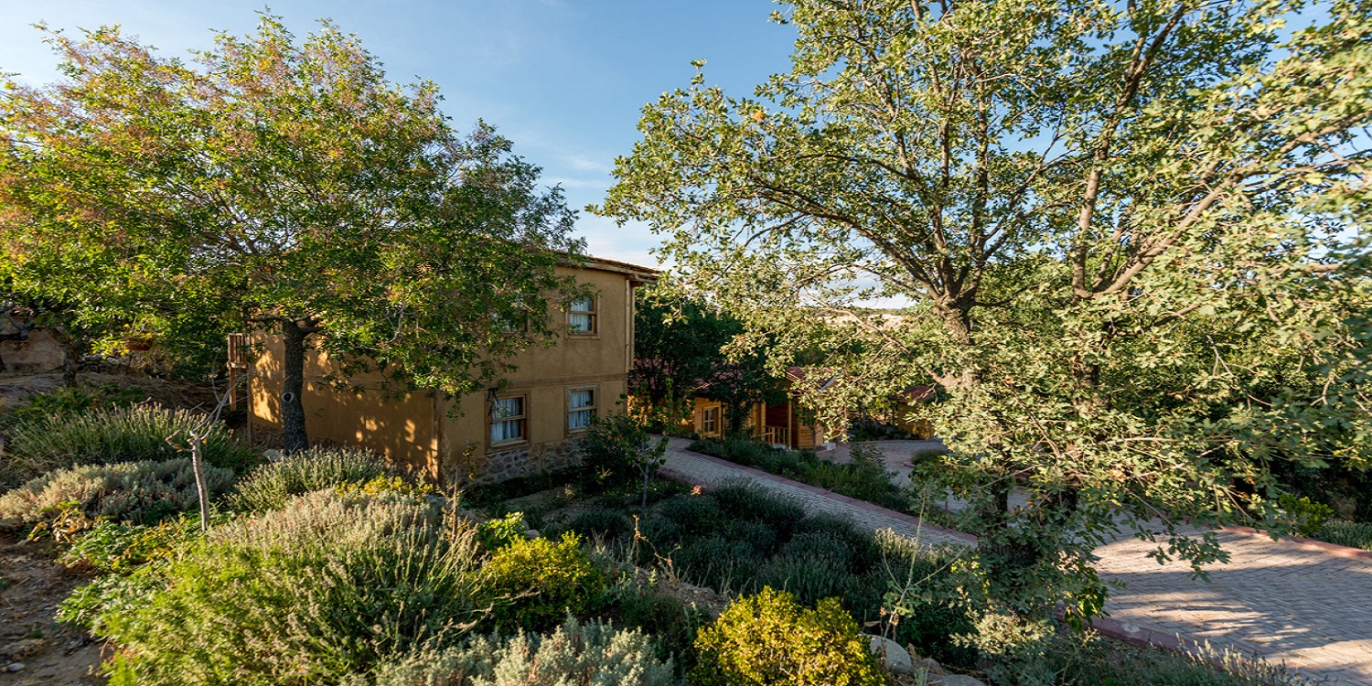 Banu Çiçek Oda | Yaşayan Köy Otel